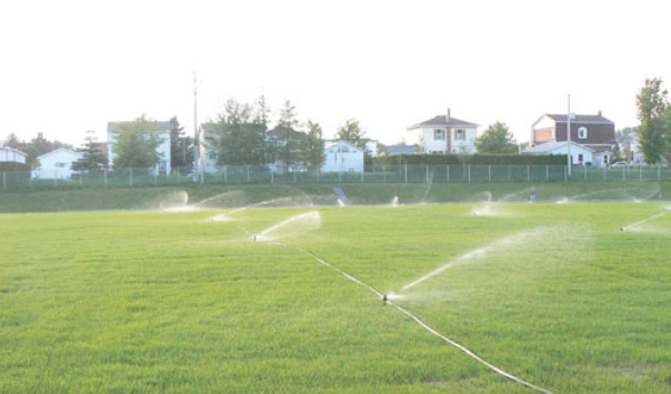 Irrigation, gicleur, semence, football, soccer