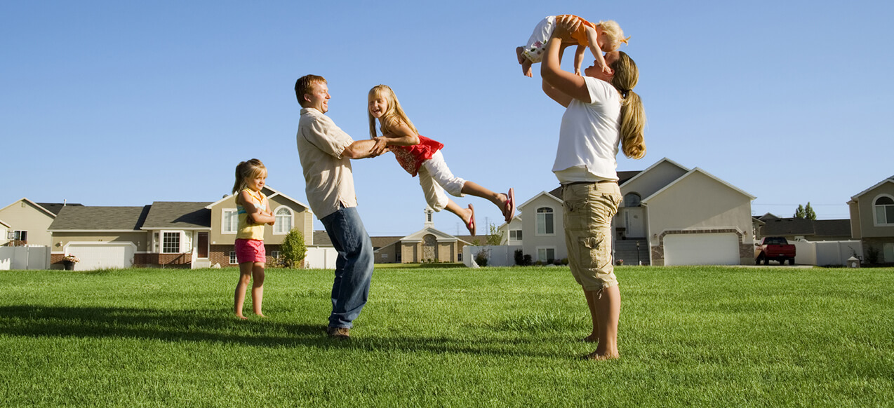 Eco Verdure | Service d'entretien de pelouses résidentiel et commercial à Lévis photo 8