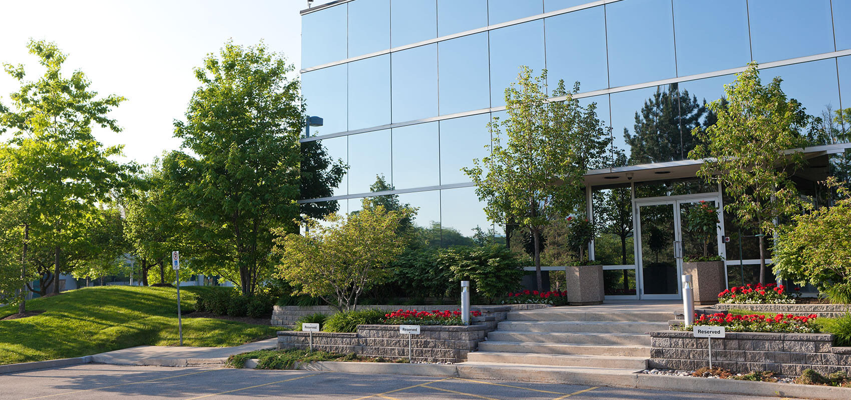 Eco Verdure | Service d'entretien de pelouses résidentiel et commercial à Lévis photo 4