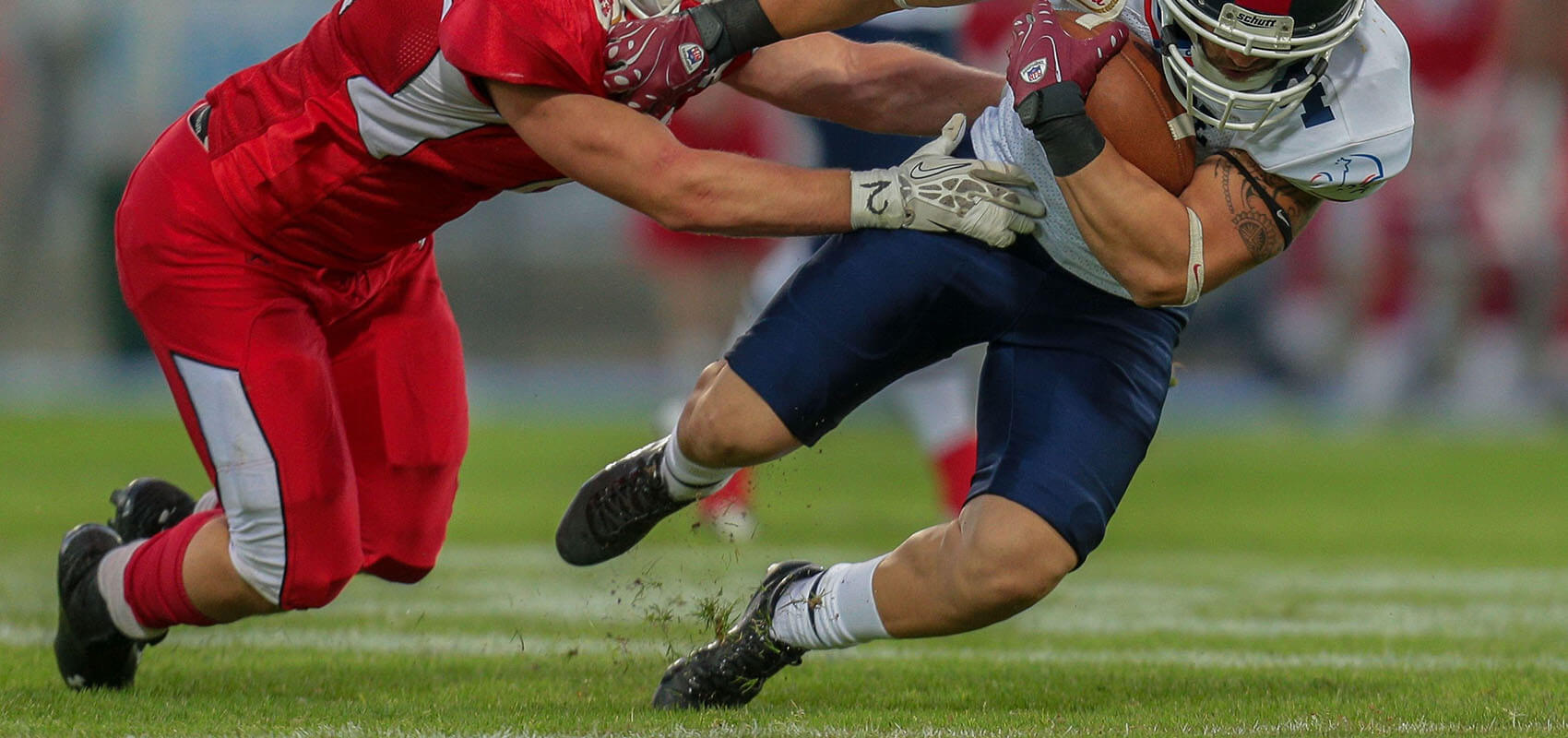 Eco Verdure | Service d'entretien de pelouses résidentiel et commercial à Lévis photo 5